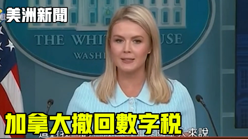 加拿大撤回数字税