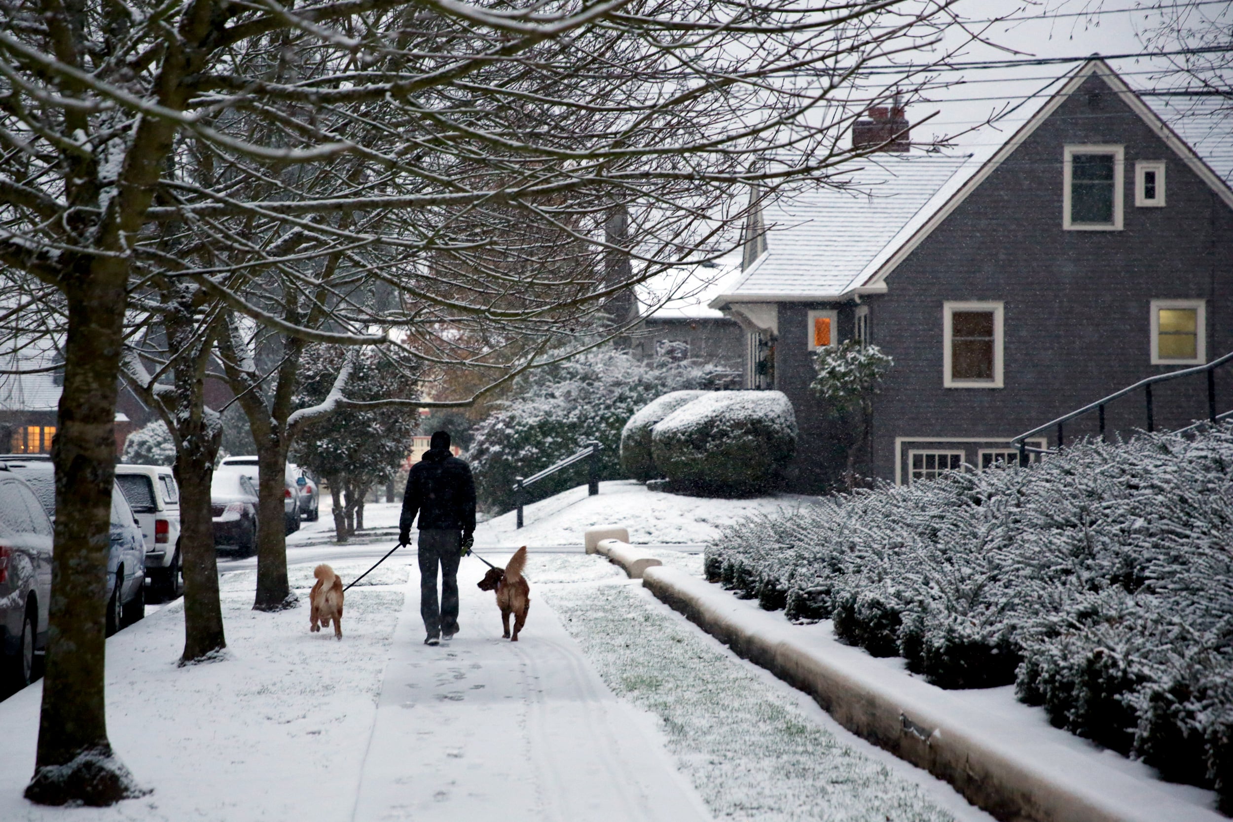 罕见白色圣诞节 美国部分地区将迎来10英尺积雪