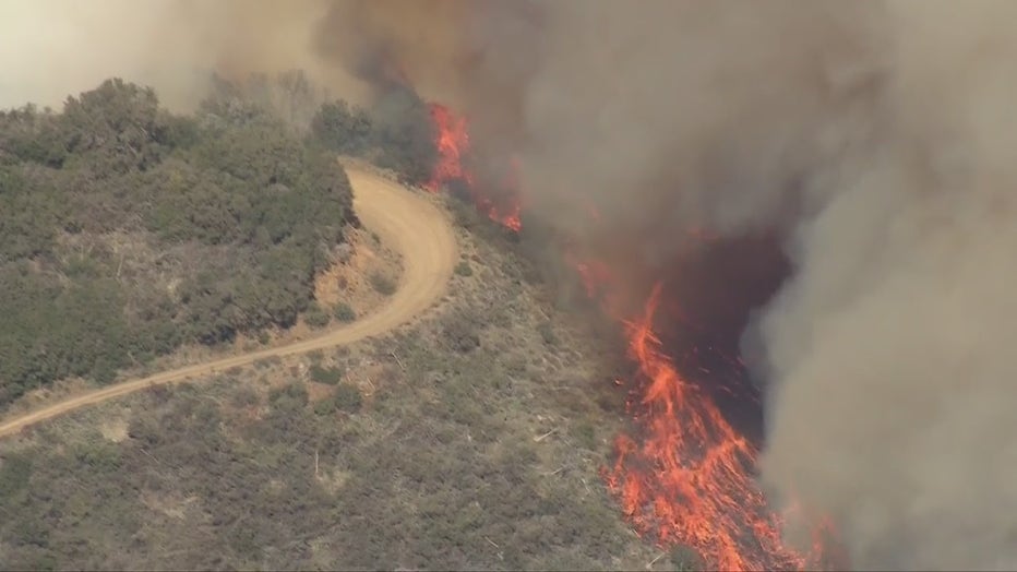 克利夫兰国家森林公园发生火灾 火势蔓延至少400亩