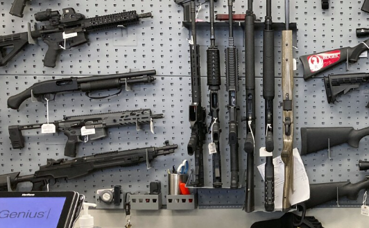 圣县批准枪枝管制和校园安全提案