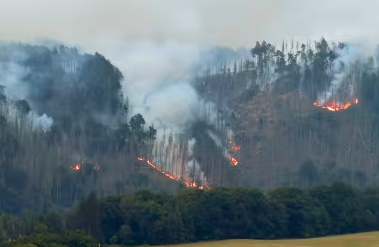 捷克边境森林大火已达850公顷  烧到德国东部居民紧急撤离