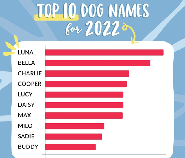 加州最受欢迎的狗名字：Luna、Bella、Charlie