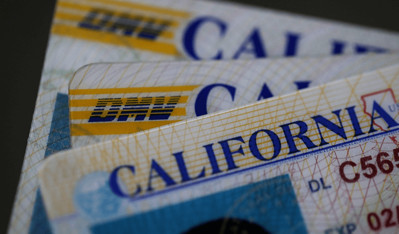 加州 2024年将对无证移民发身分证