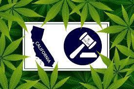 加州逾3万人大麻前科  明年7月前新法可解套