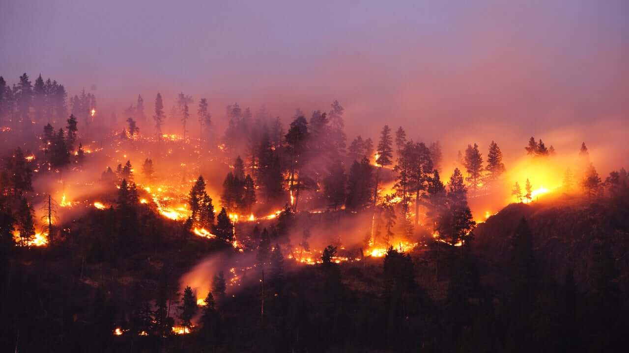 全球气候灾损统计 加州野火两年损失3285亿居冠