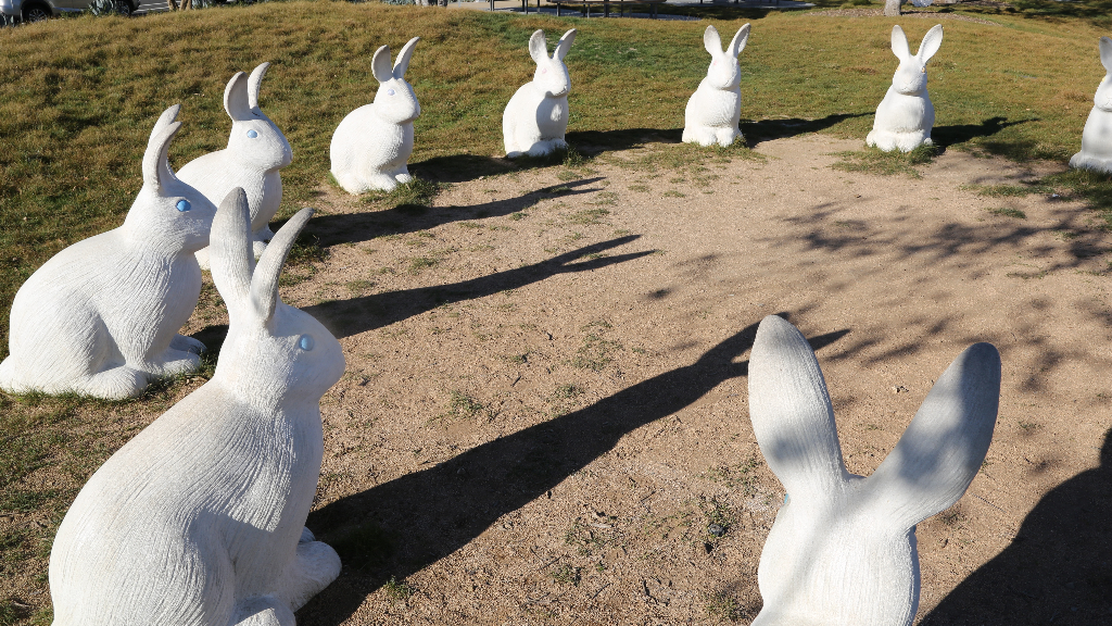 橙县踏春 | 兔年打卡不能错过「兔仔公园」