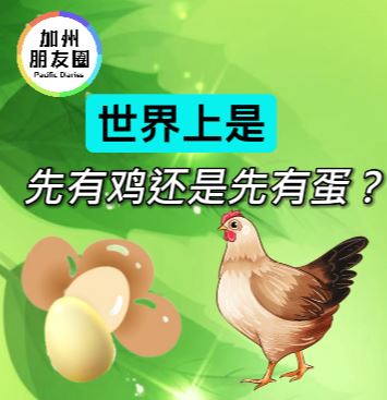 加州朋友圈|世界上是先有鸡还是先有蛋？ 