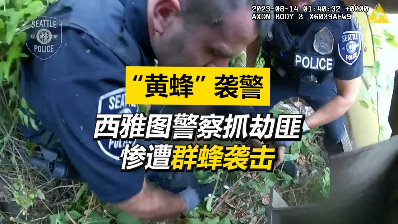 黄蜂袭警！西雅图警察抓劫匪惨遭群蜂袭击