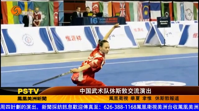 中国武术队休斯敦交流演出