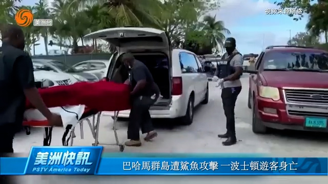 巴哈马群岛遭鲨鱼攻击 一波士顿游客身亡