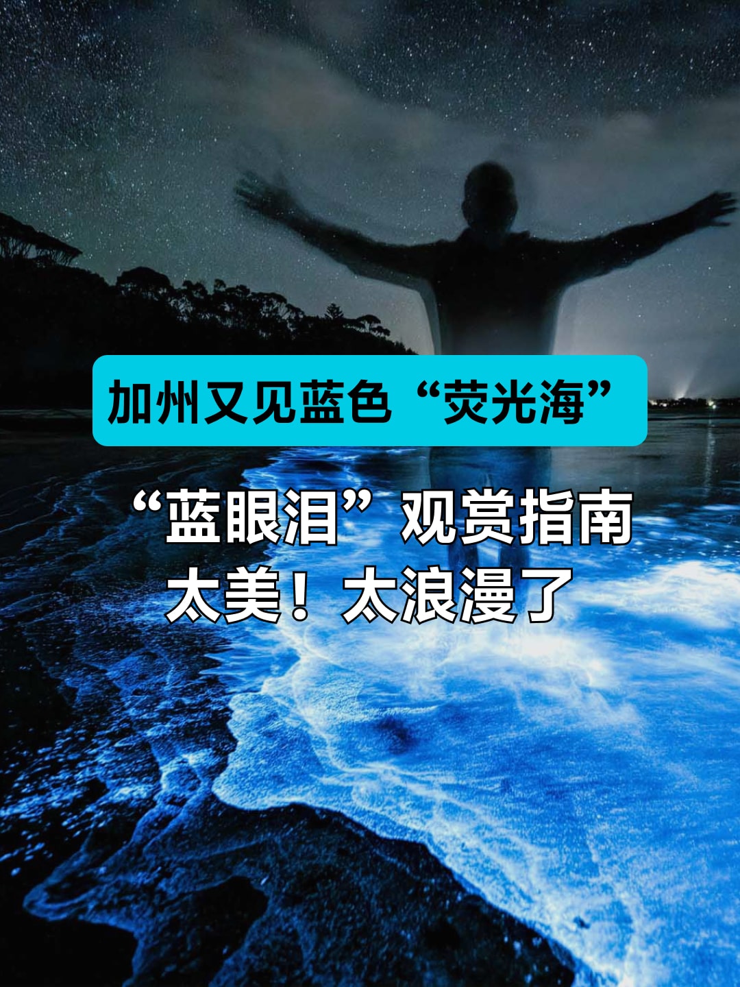 加州又见蓝色“荧光海”！| “蓝眼泪”观赏指南