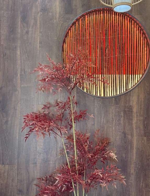 悠游 | 在这儿可以吃到炒藕带！