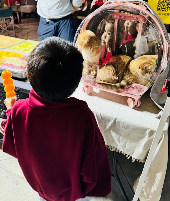 悠游 | 这个集市的摊主都是小朋友！